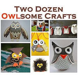 24 owl crafts 250