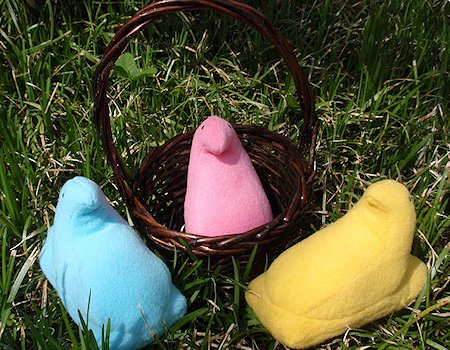 peeps chick plush