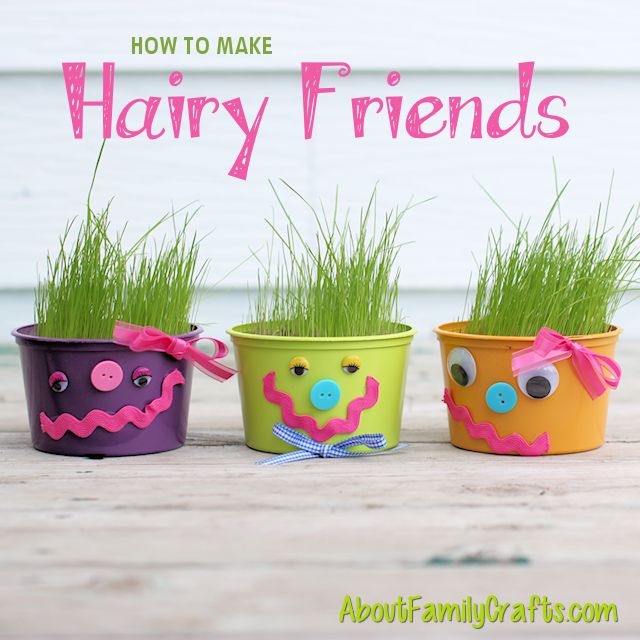 How to Make Hairy Friends