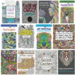 12 Coloring Books for Adults 150