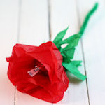 Candy Kiss Tissue Paper Rose 150